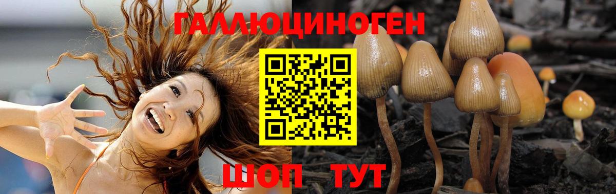 Сыктывкар  Галлюциногенные грибы ЛСД  что такое наркотик  Вход с VPN 